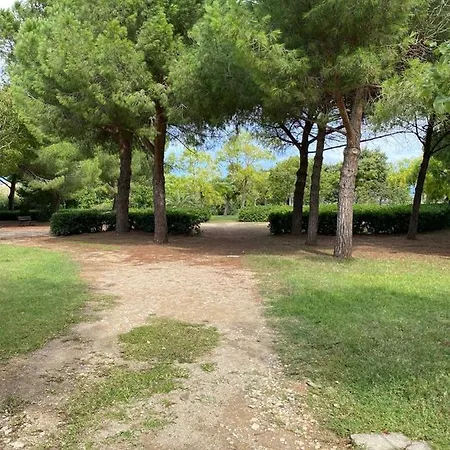 A Pochi Passi Dalla Apartment *